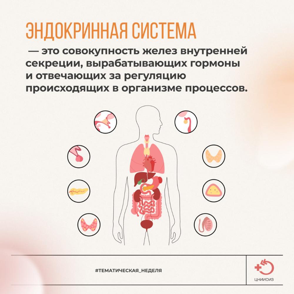 С 19 по 25 мая  проходит Неделя профилактики заболеваний  эндокринной системы